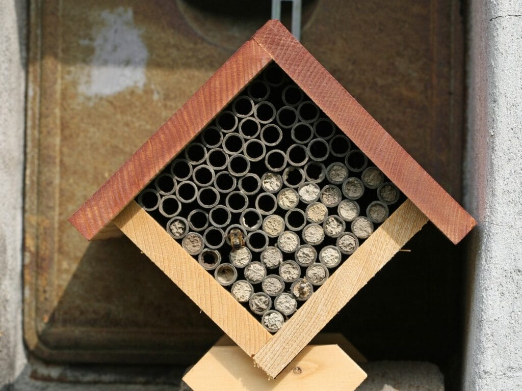 Bienenhotel
