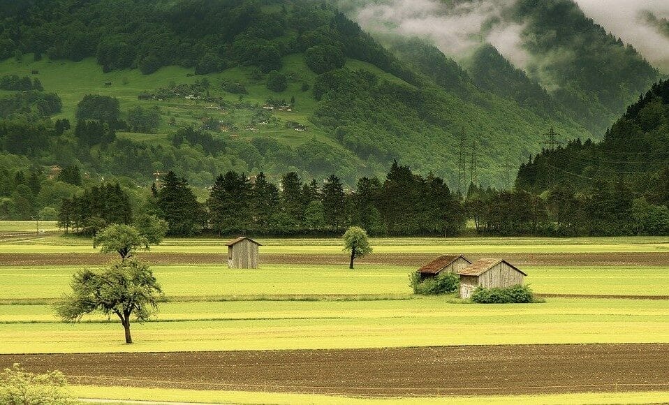 Ein landwirtschaftliches Feld