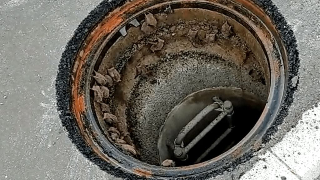 Kanalisation in Spreitenbach