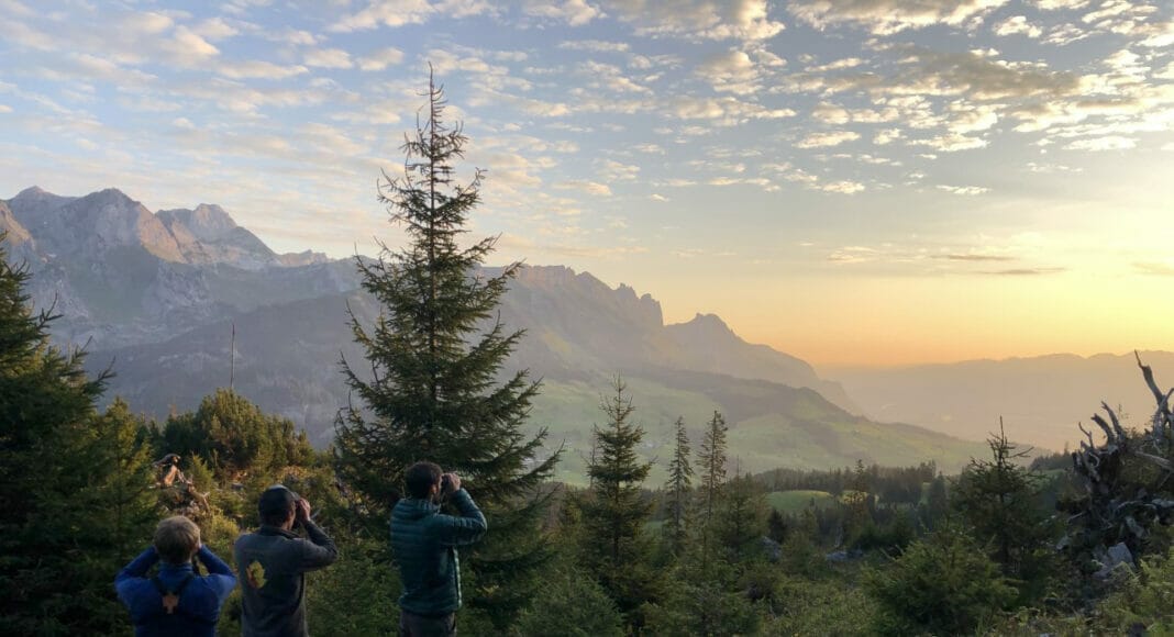 Vogelbeobachtung im Morgengrauen