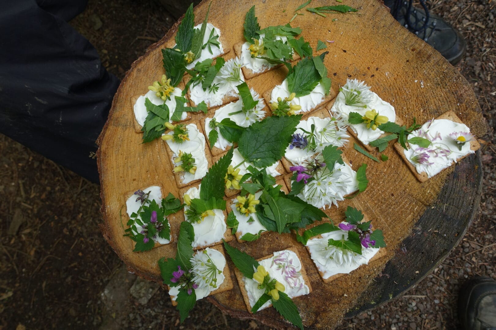 Wildkräuter und Pizzabrot | Naturschutz.ch