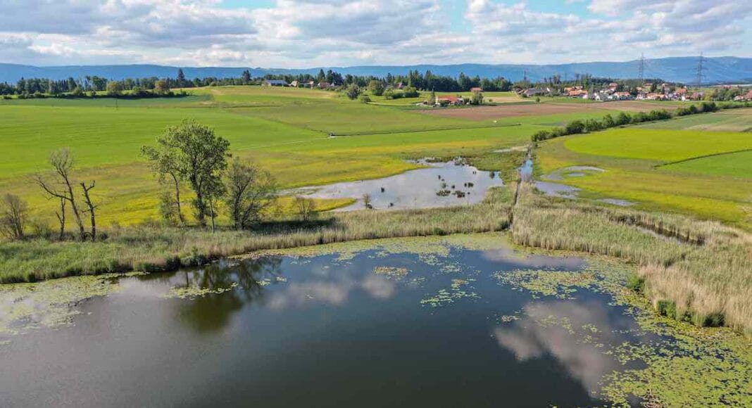 Lobsigensee