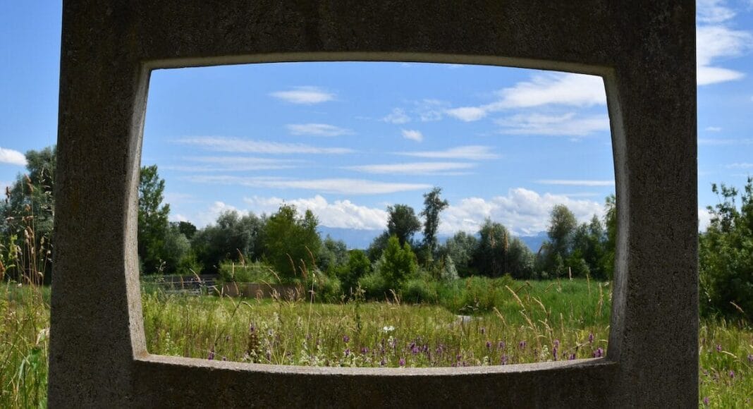 Blick über die Naturstation Silberweide
