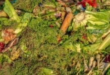 Neuer Leitfaden: Food Waste reduzieren leicht gemacht