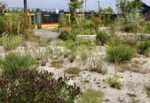 Ausschreibung Binding Preis für Biodiversität 2026 nur für diese Meldung brauchen!