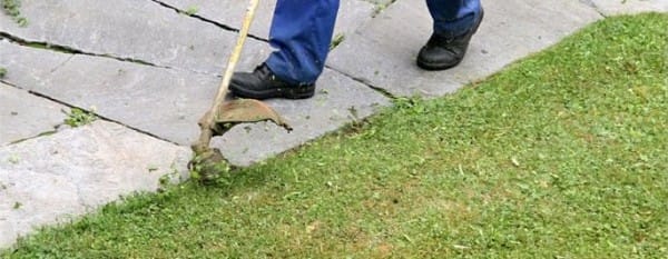 Freischneider Fadenmäher Motorsense.