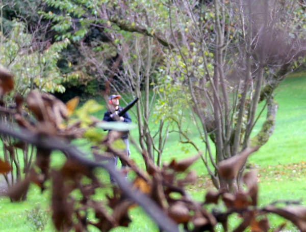 Mit dem Laubbläser wird jegliches Kleinleben vernichtet.