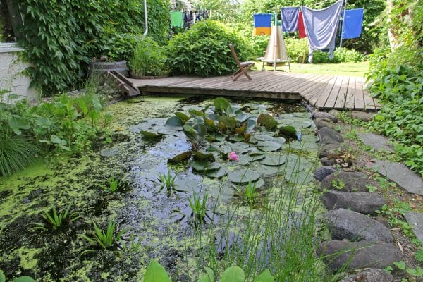 Ein Garten mit naturnahem Teich.