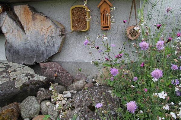 Ein naturnaher Garten.