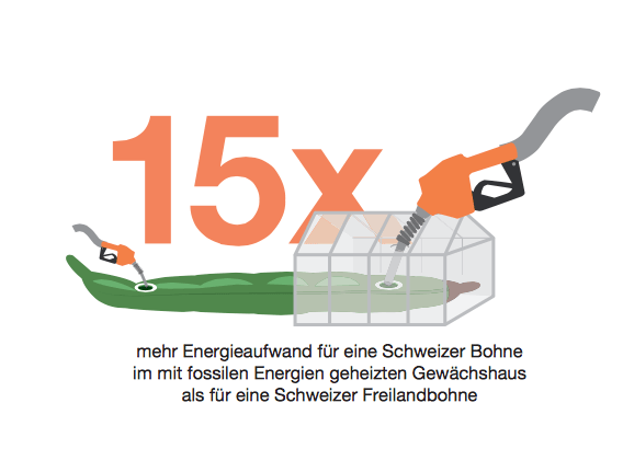 Gemüse besser nicht aus dem Treibhaus kaufen.