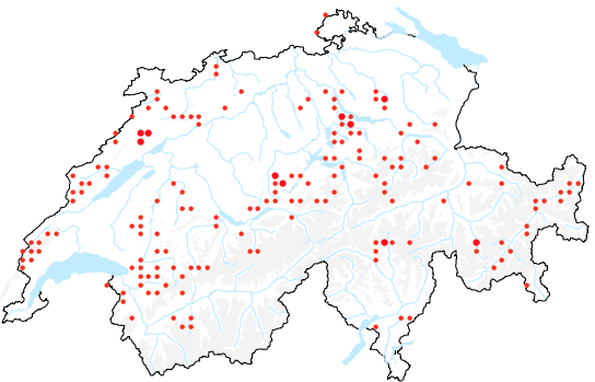 Fundorte und Verteilung des blauen Eisenhutes.