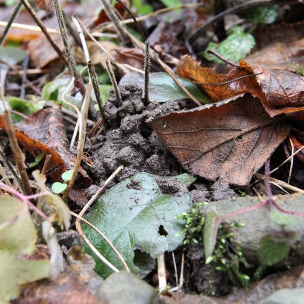 Blick auf den Boden gerichtet.