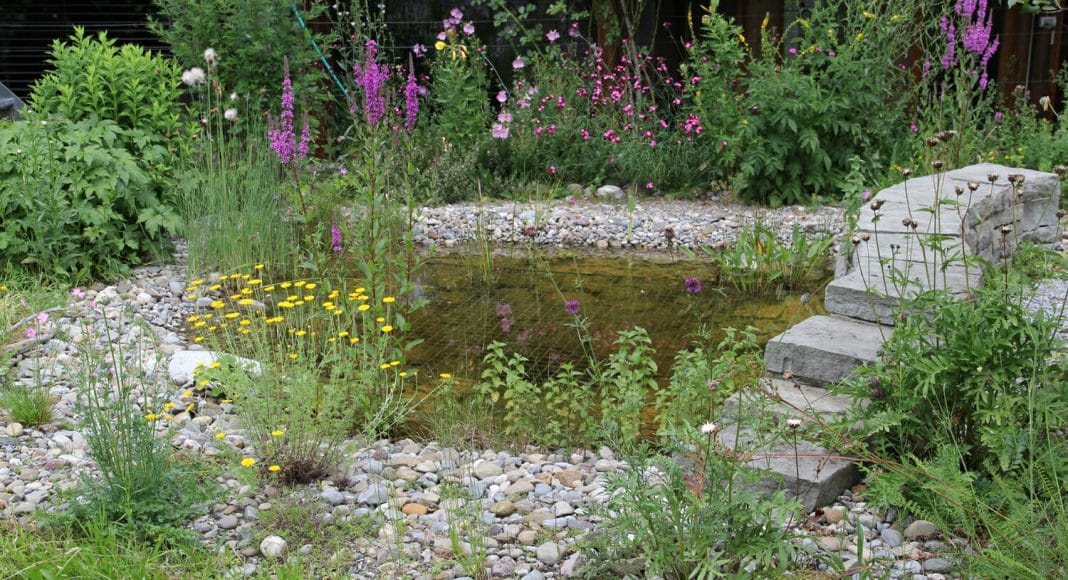 Teich im Garten.