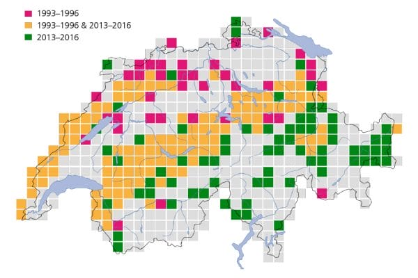 Verbreitungskarte der Waldschnepfe in der Schweiz.