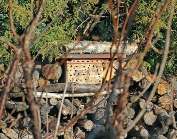 Nisthilfen für Wildbienen
