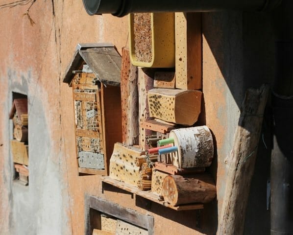 Nisthilfen für Wildbienen.