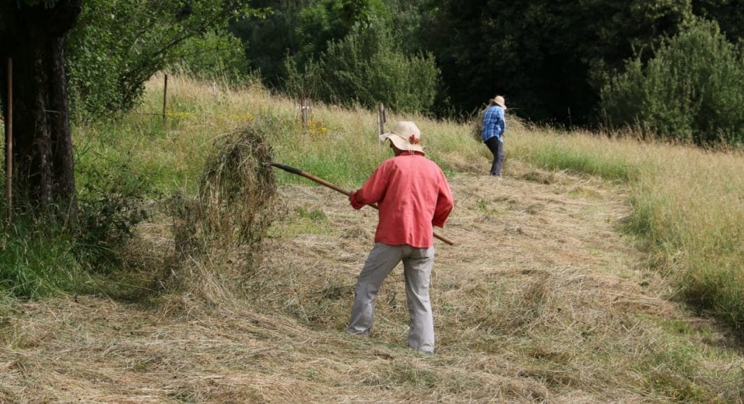 Mähen auf nachhaltige Art und Weise.