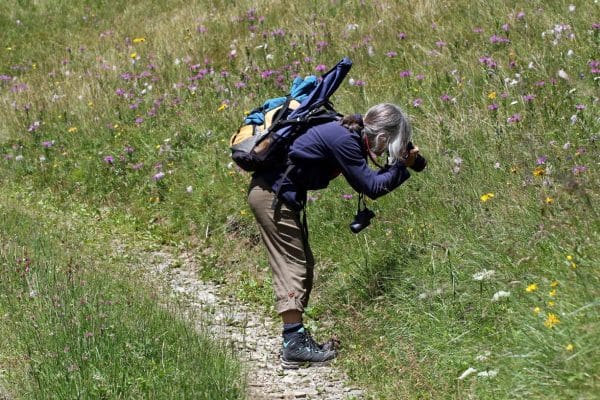 Beatrix Mülethaler in der Blumenwiese.