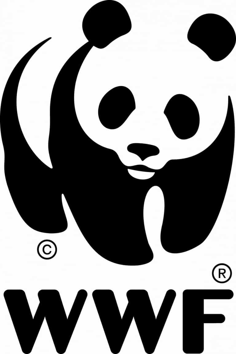 Praktikum Umweltbildung WWF Zürich (80%)