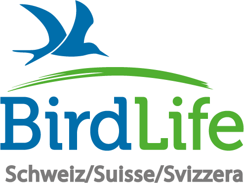 Praktikum oder Zivieinsatz im BirdLife-Naturzentrum Neeracherried (80-100%)