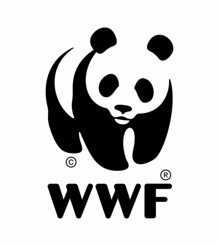 ehrenamtliche:r Kassier:in WWF St.Gallen
