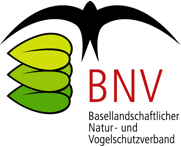 Geschäftsführer/in, 50 – 60 % Geschäftsführer/in, 50 – 60 %