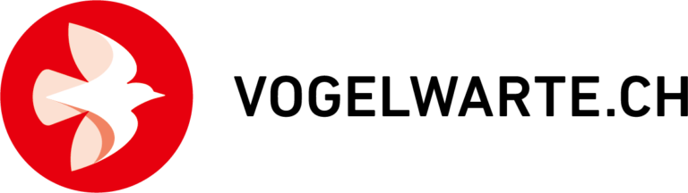 Praktikant/in Samenverbreitung Tannenhäher, 80% – 100% Praktikant/in Samenverbreitung Tannenhäher, 80% – 100%