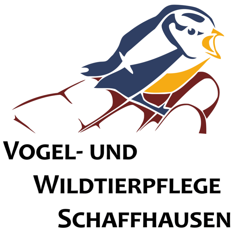 Praktikum Vogel- und Wildtierpflege